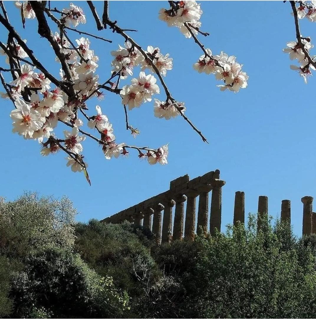 B&B Giunone Agrigento Quarto foto